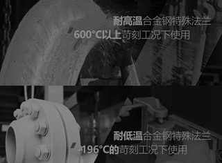 储信法兰 —— 苛刻工况法兰智造