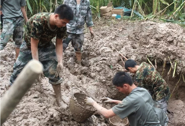 司泵兵张森森