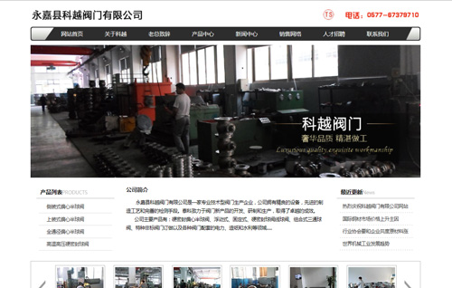 永嘉县科越阀门有限公司