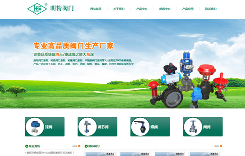 上海明精阀门有限公司