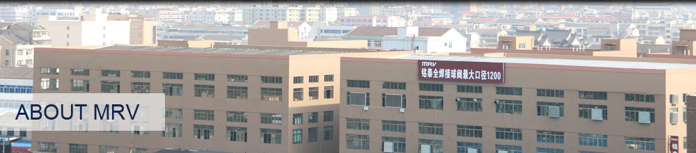 浙江铭泰阀门有限公司