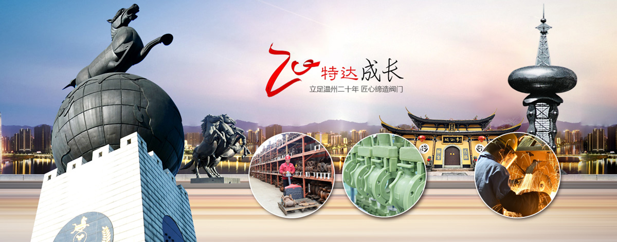 浙江特达阀门有限公司