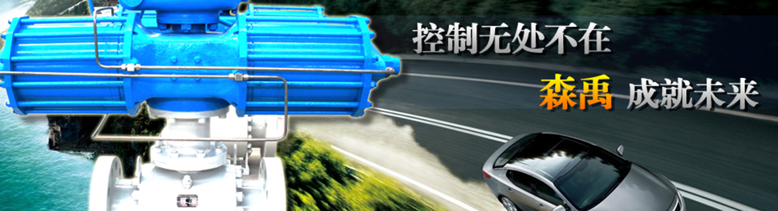 上海森禹阀门制造有限公司