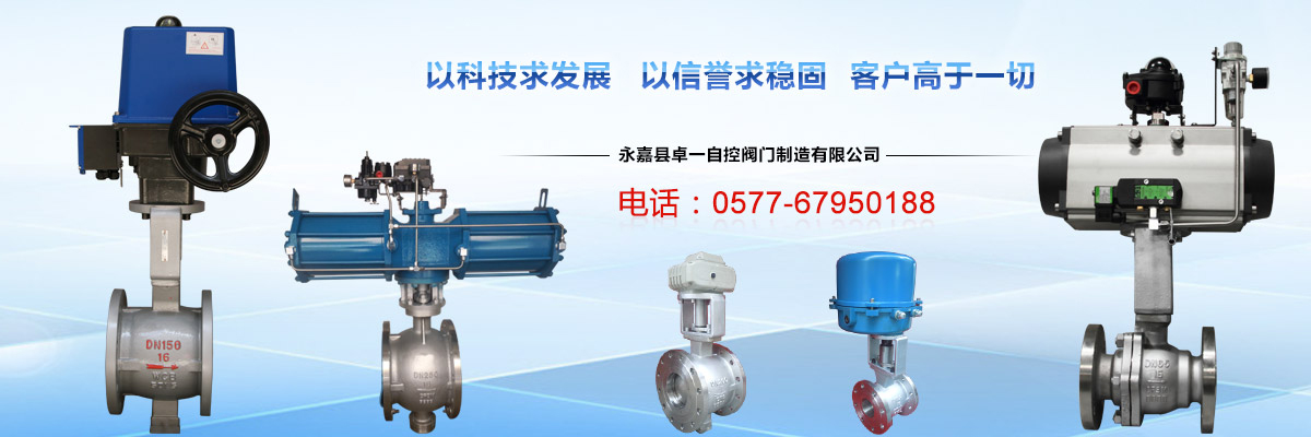 永嘉县卓一自控阀门制造有限公司