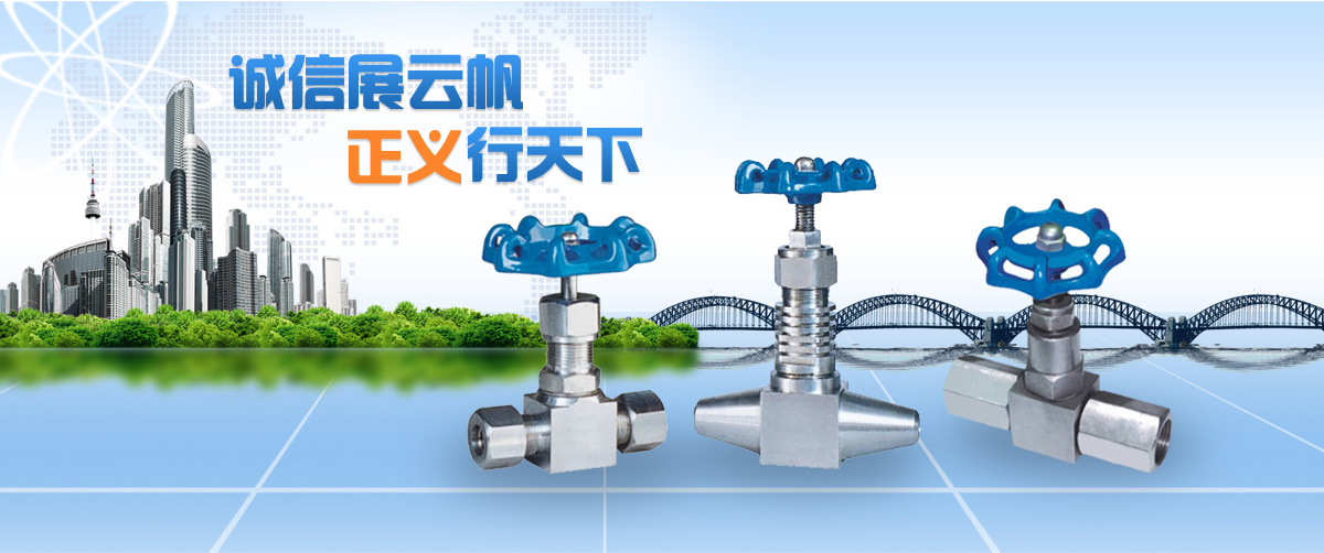温州正义仪表阀门有限公司