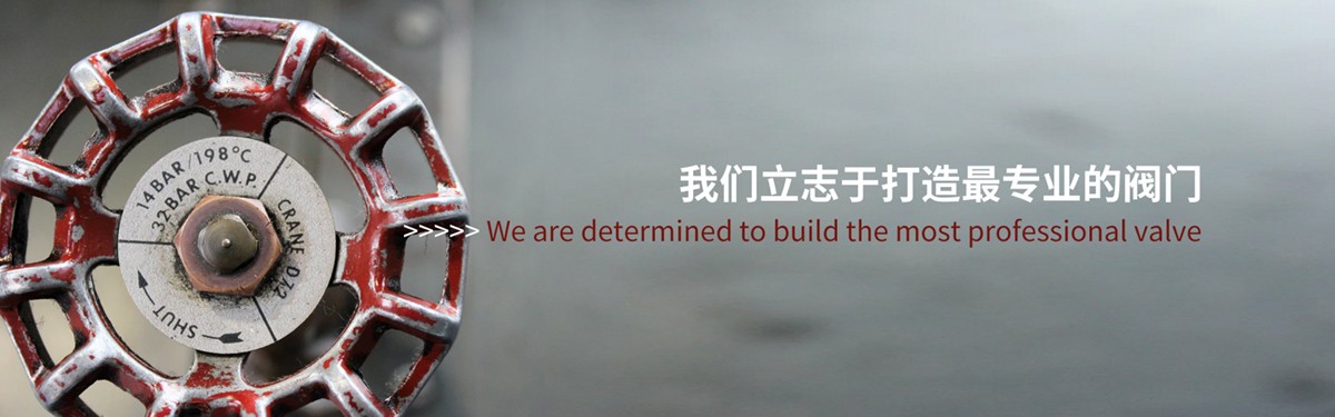 天津詹姆斯伯雷阀门有限公司