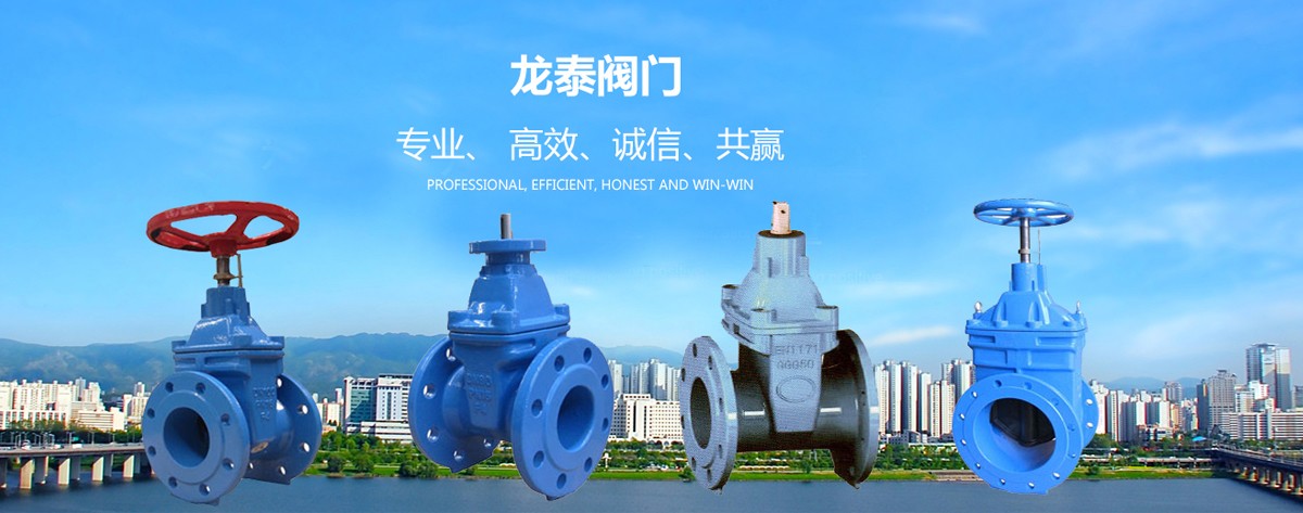 苏州龙泰阀门有限公司