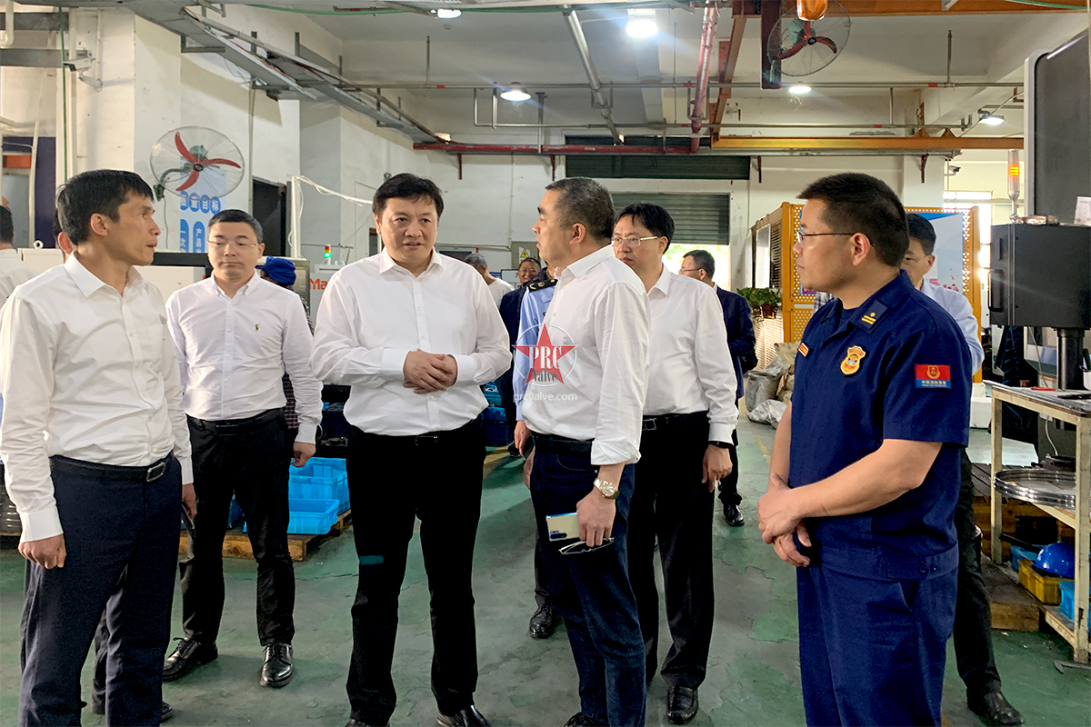 浙江省政府副省长胡伟一行莅临华海密封件有限公司督查企业生产安全工作