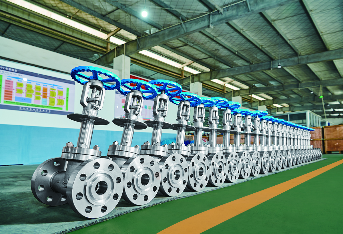 DSC_6860.jpg DSC_6860.jpg