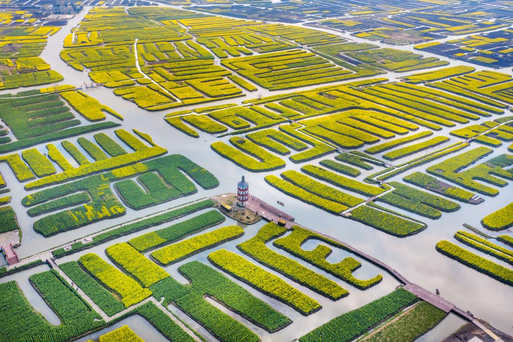 灌溉2.jpg 灌溉2.jpg