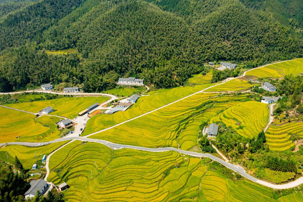 灌溉4.jpg 灌溉4.jpg