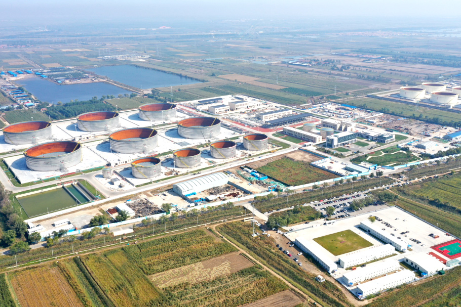 石化3.jpg 石化3.jpg