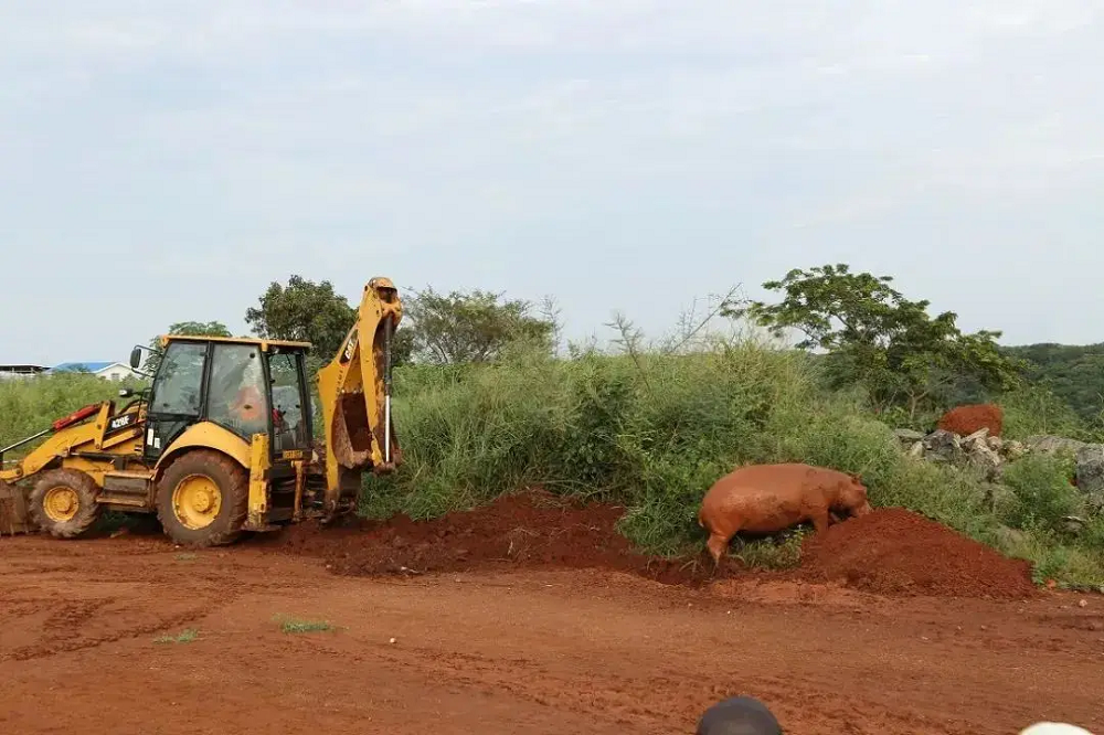 水电4.png 水电4.png